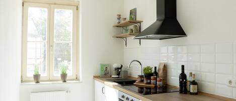 Fridge, oven, stovetop, coffee/tea maker