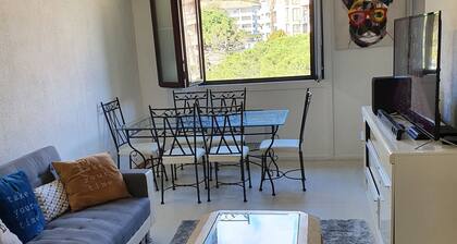 Appartement T3 Belle vue mer et Montagne