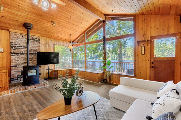 Smart TV, fireplace, books