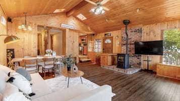 Smart TV, fireplace, books