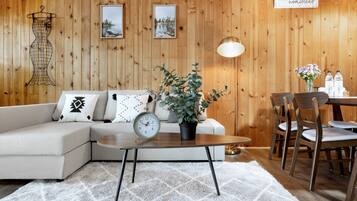 TV connectée, cheminée, livres