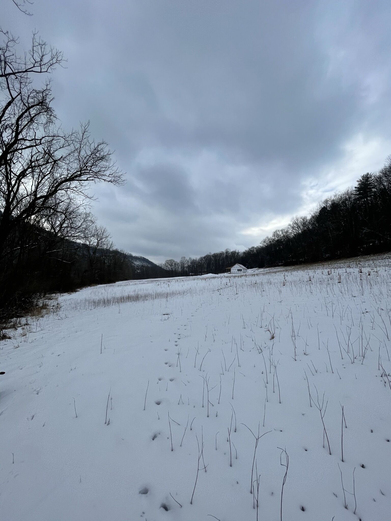 A snowy landscape with a path leading through a field, surrounded by leafless trees and a cloudy sky.