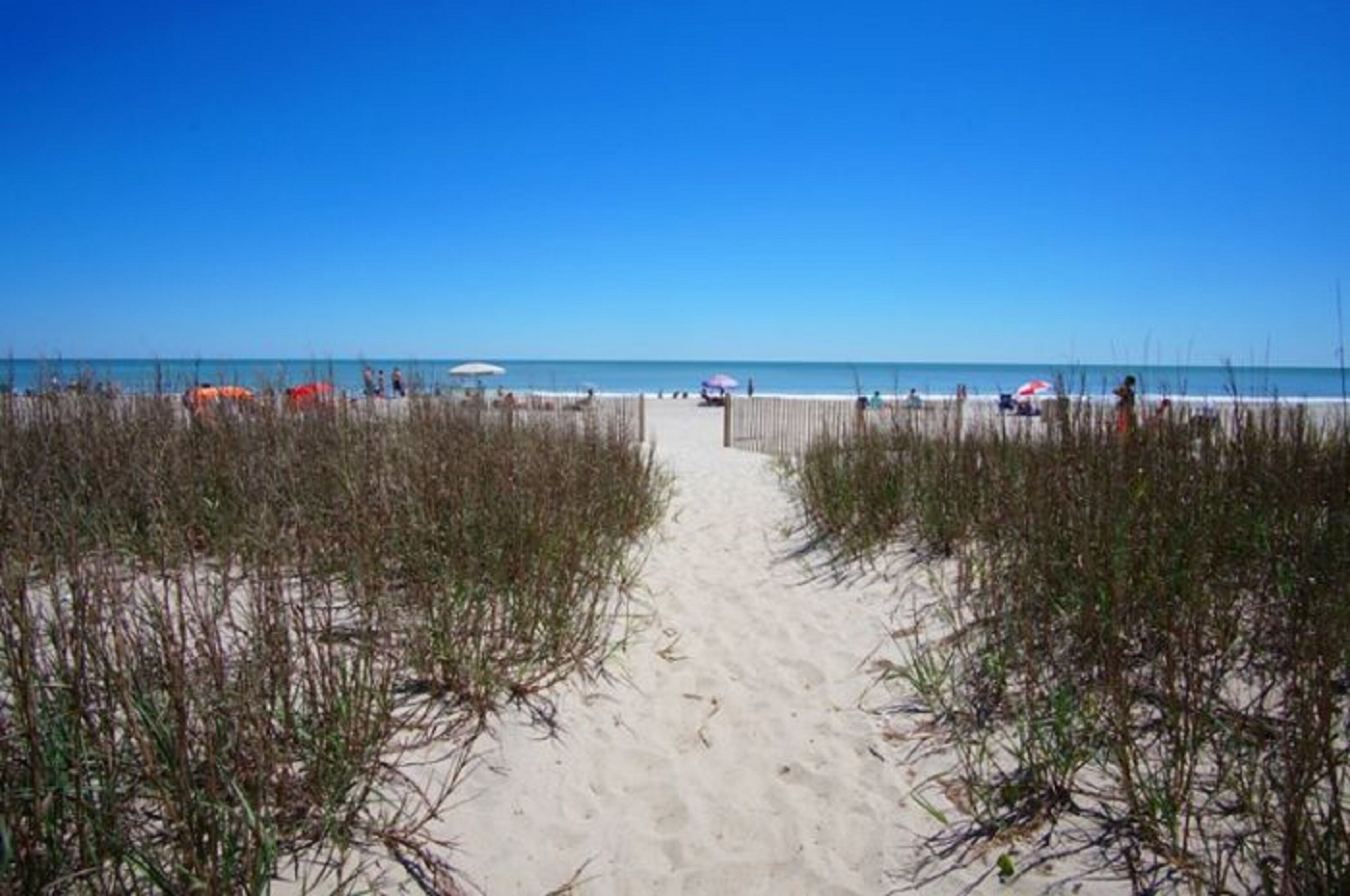 A sandy beach path leading to the ocean with beach umbrellas and people in the distance.