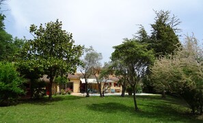Exterior - The Blue Tit - private swimming pool (L'Isle-sur-la-Sorgue)