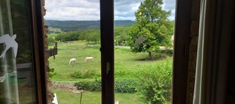 Stone house close to all the major sites of the Périgord Noir