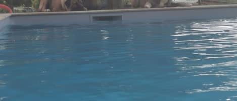 室外泳池