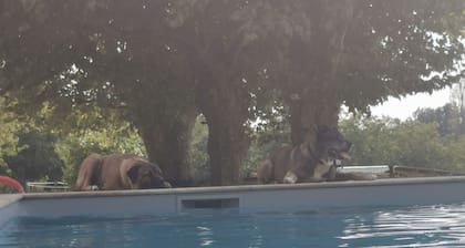 maison en pierre proche de tous les grands site du Périgord noir