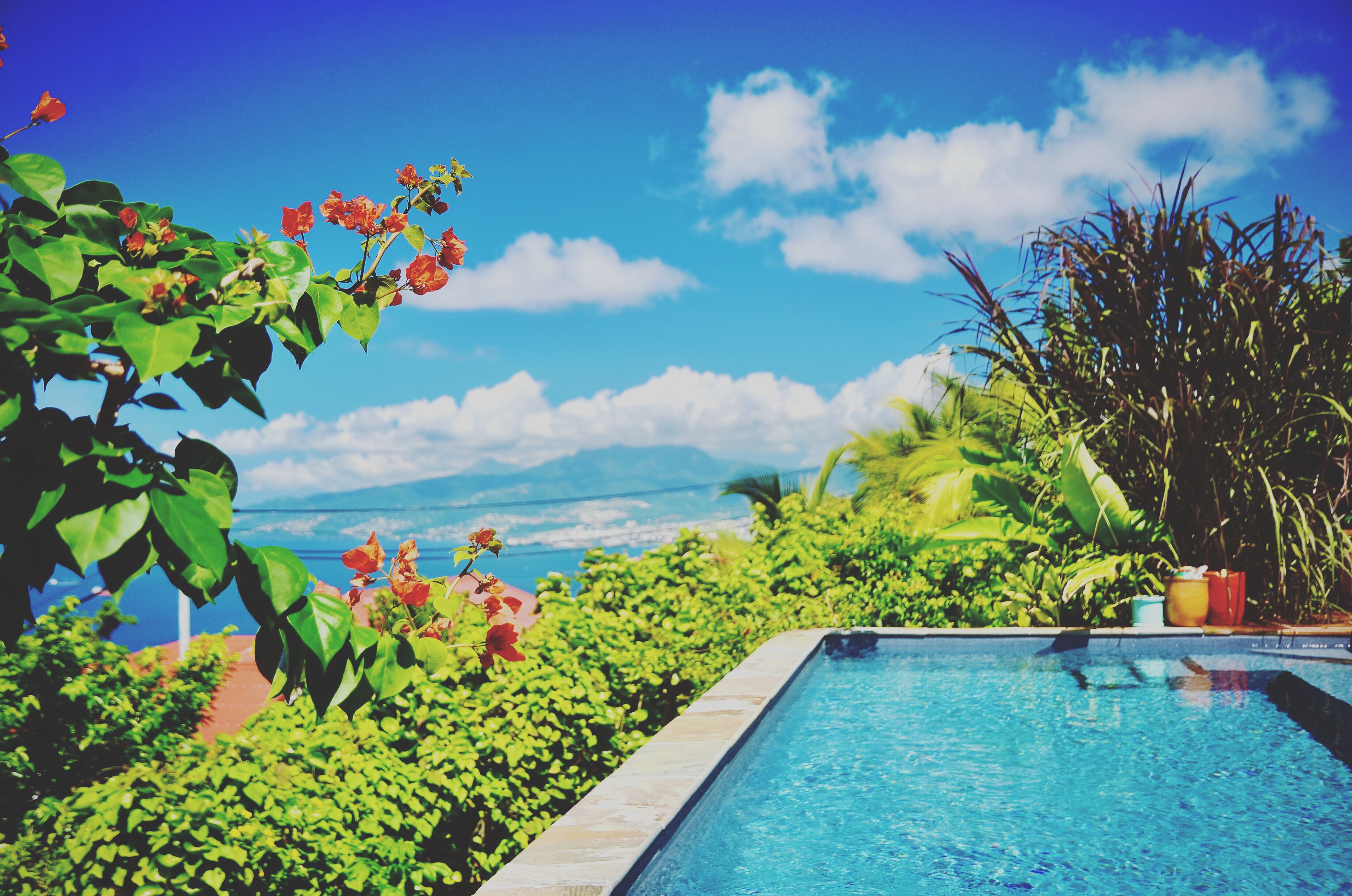 Piscine extérieure, piscine chauffée