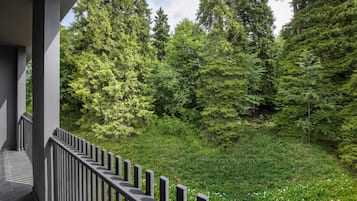 Comfort Double Room, 2 Bedrooms | Terrace/patio