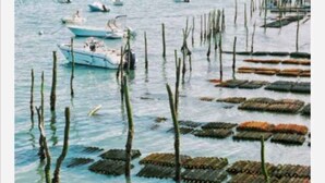 A coastal scene with boats and wooden structures in the water.