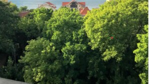 A coastal view with a house surrounded by lush green trees and a clear blue sky.