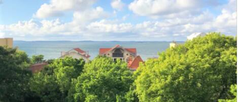 A coastal view with a house surrounded by lush green trees and a clear blue sky.