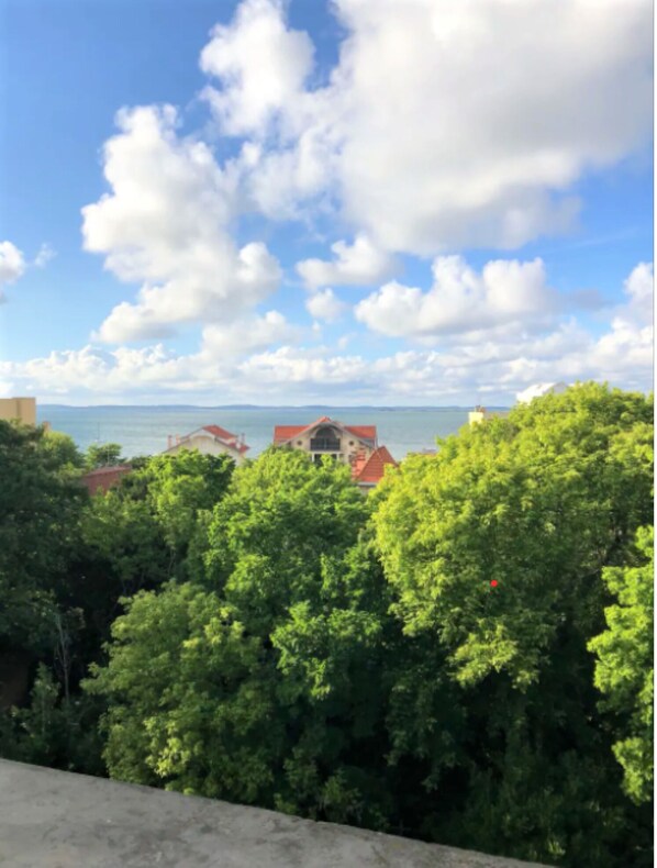 Vista des de l'allotjament