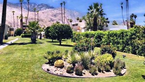 Giardino curato con palme, cactus e montagne sullo sfondo.