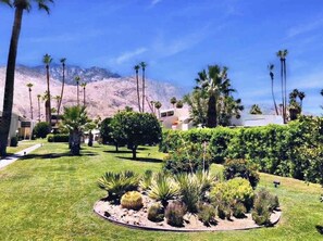Property grounds - Gorgeous Blue Desert Oasis in Heart of Palm Springs (Palm Springs)