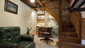 TV connectée, cheminée, livres