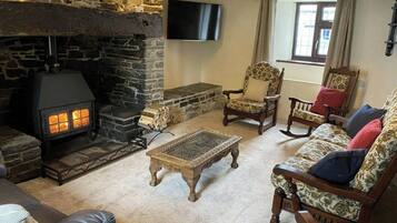 Smart TV, fireplace, books