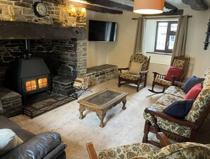 Smart TV, fireplace, books