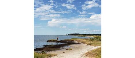 在海灘附近、躺椅