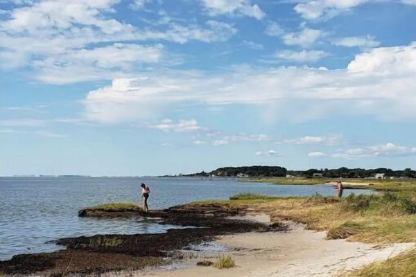Beach nearby, sun-loungers