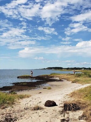 A beach with a person standing on the sand near the water, a grassy area, and a clear sky.