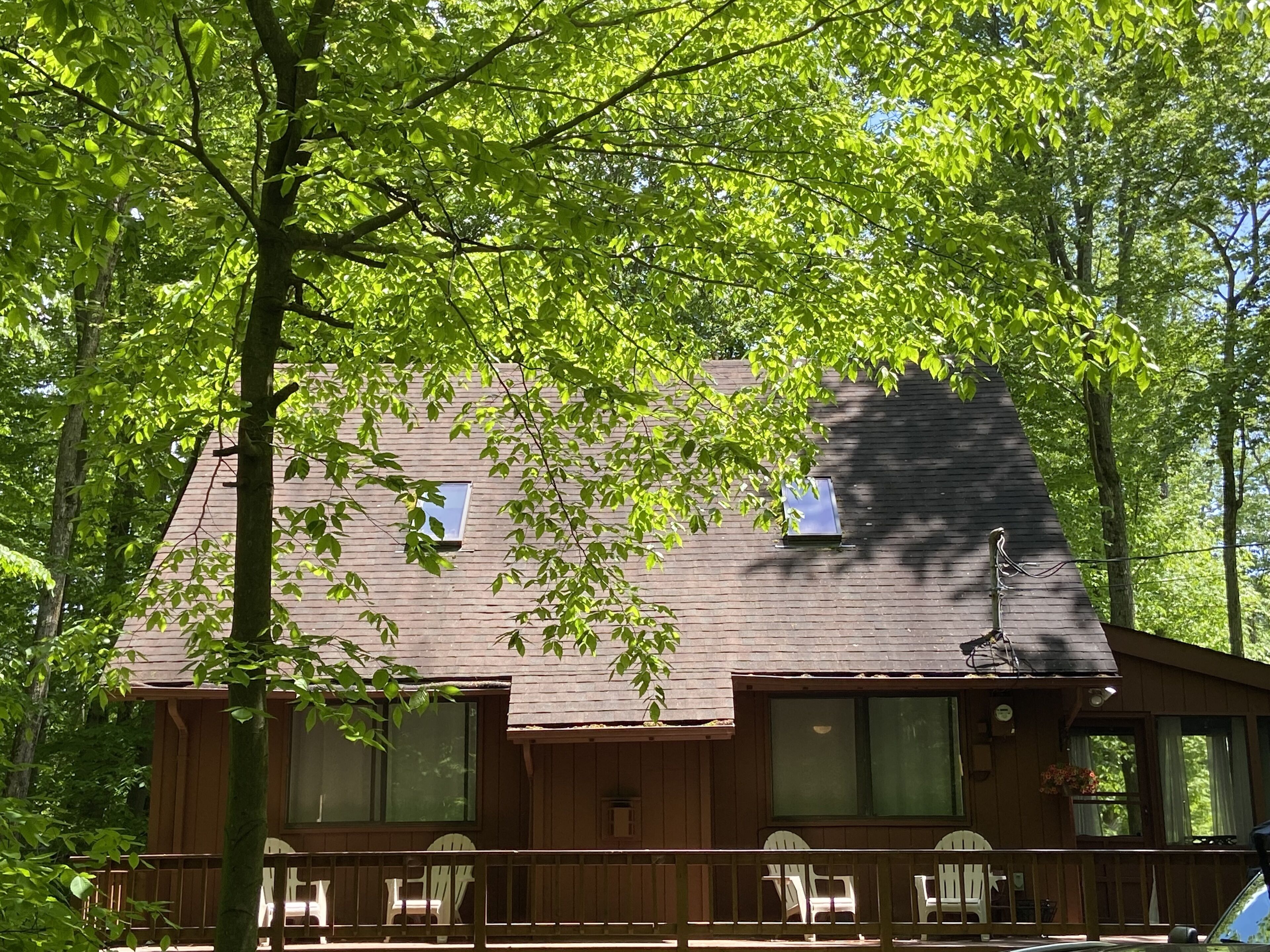 Charming Lake Naomi Cabin