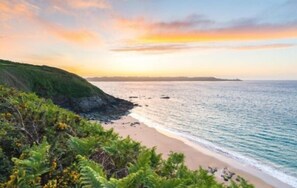 A coastal landscape with a beach, vegetation, and a distant shoreline.