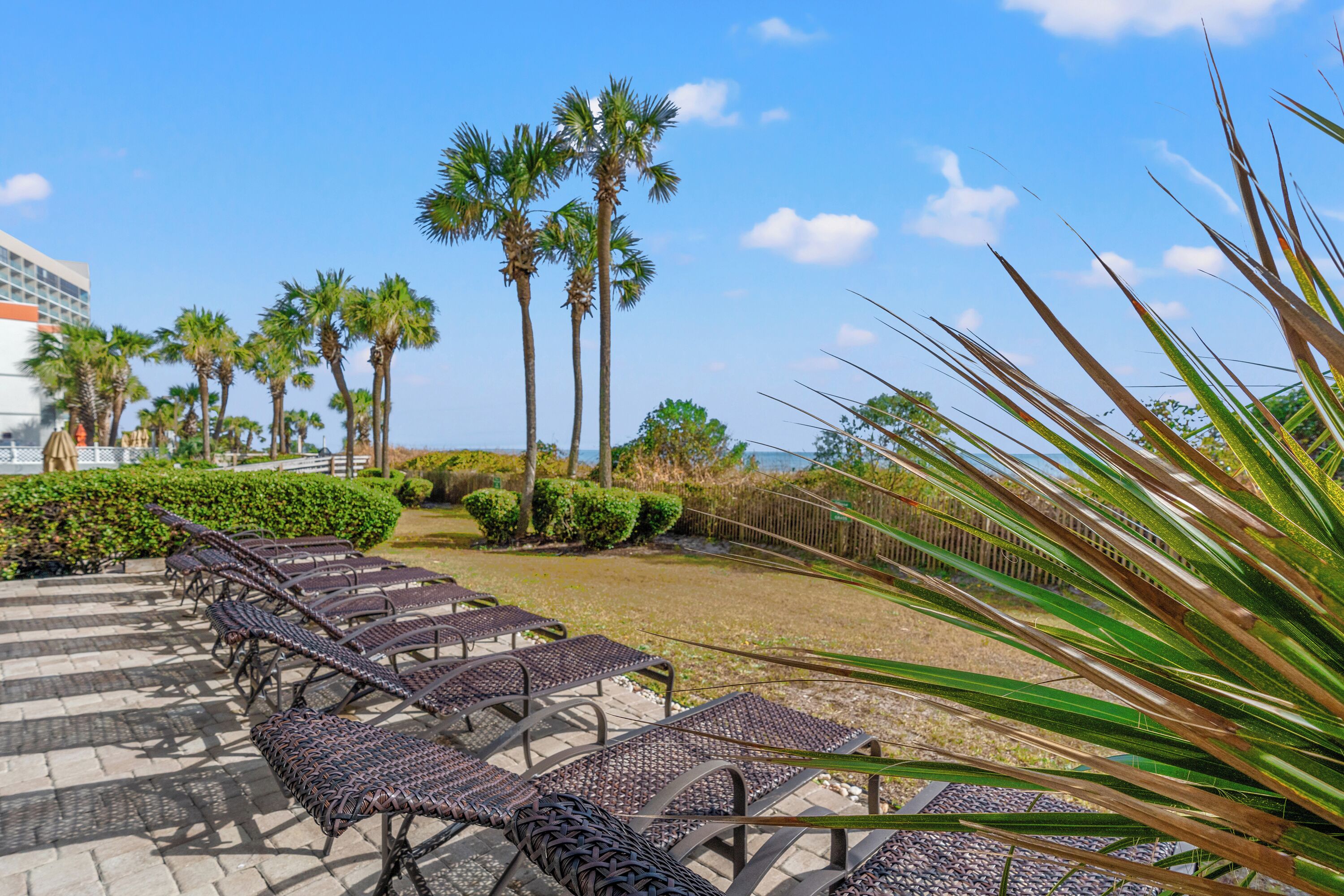 A beachside lounge with sun loungers, palm trees, and a clear sky.