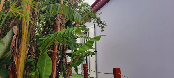 تفاصيل الفندق من الخارج