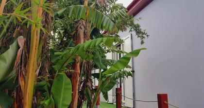 Maison au coeur du village et idéalement situ