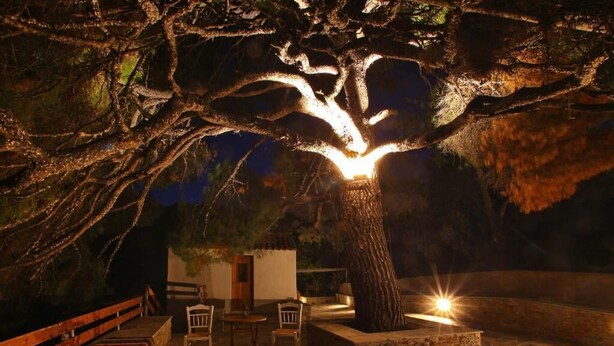 An outdoor seating area with stone tables and chairs under a large tree with illuminated branches. - Perfect for peace and quiet,in the countryside (ΣΚΟΠΕΛΟΣ)