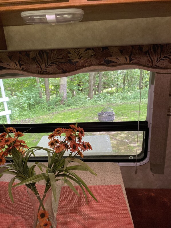 A window with a view of a forest, a vase with flowers on a table, and a curtain above.