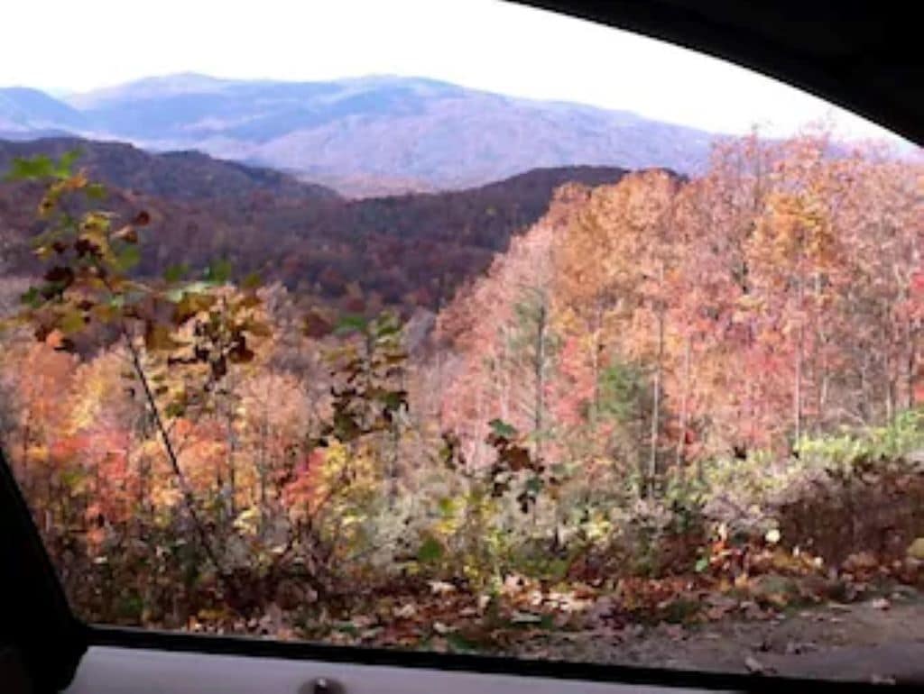 Vista desde el interior de un vehículo, mostrando una zona boscosa con follaje otoñal y montañas al fondo.
