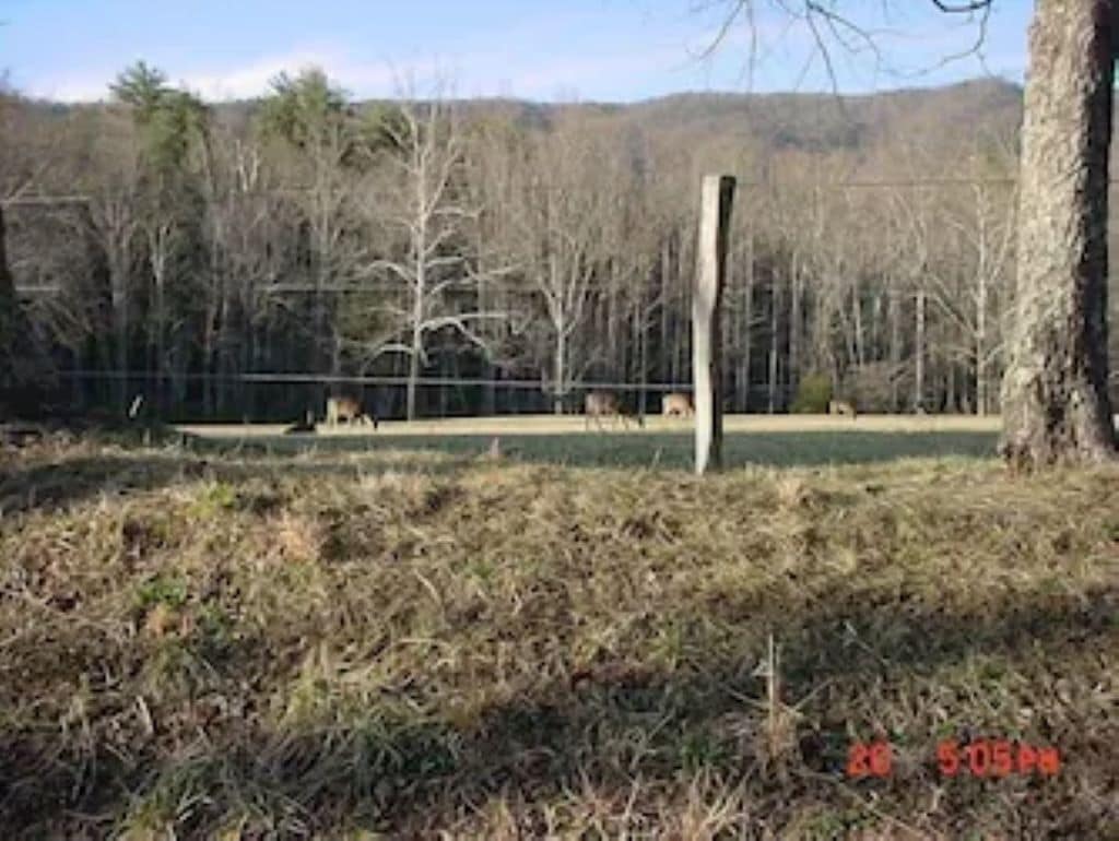 Un área exterior cercada con un campo de césped y árboles al fondo.