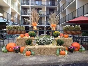 Une cour décorée de balles de foin, de citrouilles et de plantes ornementales.
