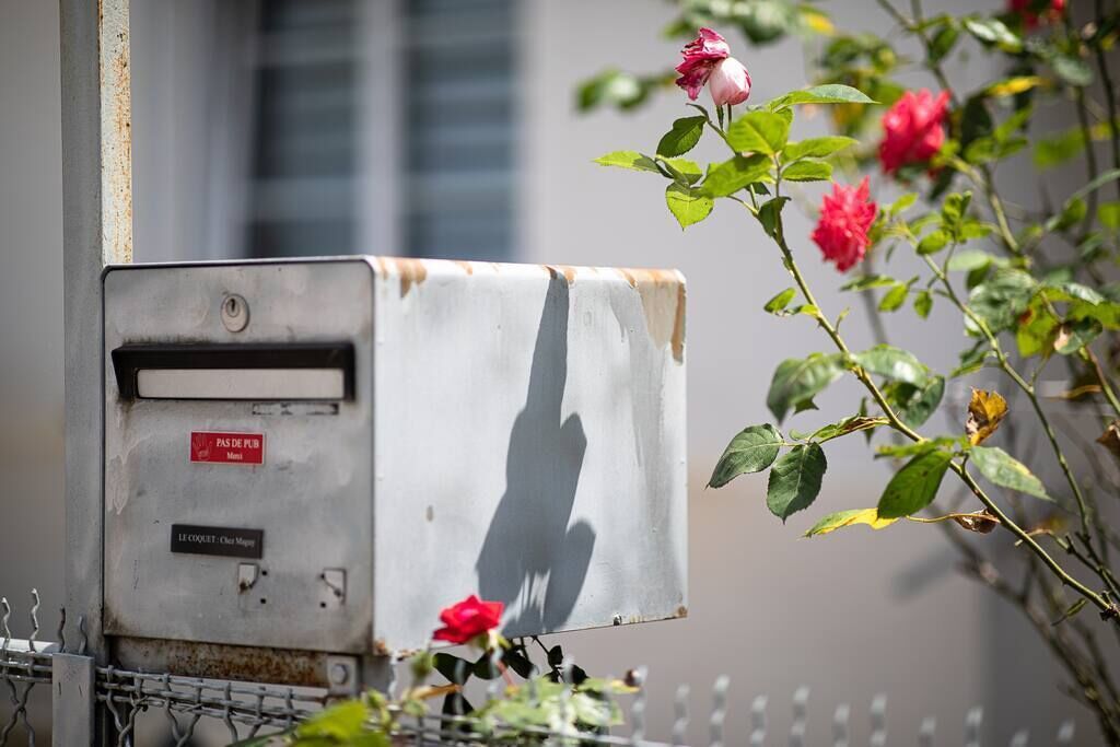 Et teknikskab med skygge, omgivet af et metalhegn og blomstrende roser.