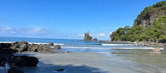 House,Pool in the jungle.Great location short walk to famous Playa la Macha