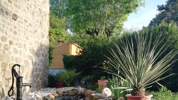 Un jardín con un pequeño estanque, rocas y plantas en macetas.