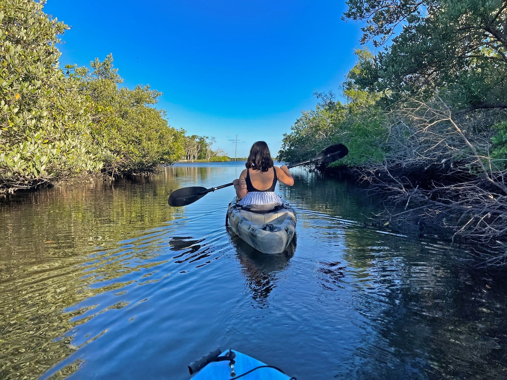 Une personne pratiquant le kayak sur une rivière paisible, entourée d’une végétation dense de mangroves.
