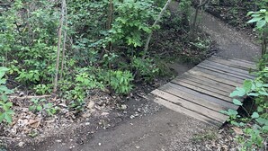 A wooden boardwalk through a dense forest. - Oceanview, Minigolf, Pool, 2BR & Office. 5 min to Coco Beach (Coco)