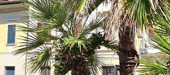 Comfortable apartment with outdoor patio on the Viareggio seafront