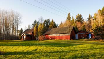 Exteriör