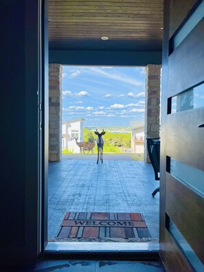 Interior - Escape to our Hidden Lake House w/ Stunning Views, Fire Pit, Pool, & Lake Travis (Lago Vista)