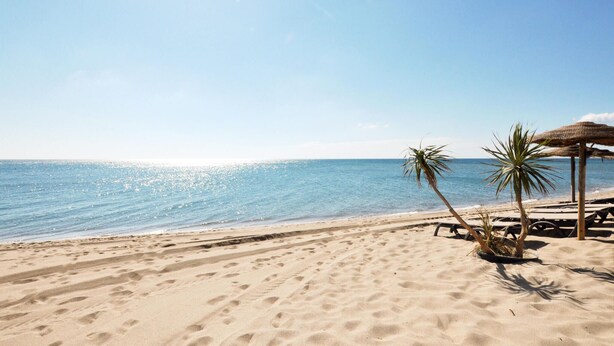 A beach with clear blue water, sandy shore, and palm trees. - Lovely home in Limoux (Limoux)