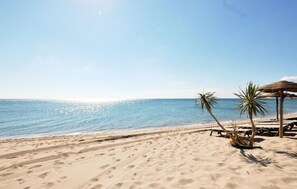 Relax under a shaded thatched umbrella on this serene beach with palm trees and soft sand.