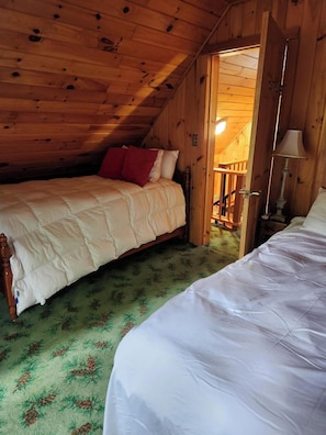 3 bedrooms, free WiFi - Tamarac Cabin at Colden Lodge (Saranac Lake)