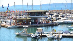 Un puerto deportivo con numerosas embarcaciones amarradas, un edificio central con techo, y banderas al fondo.