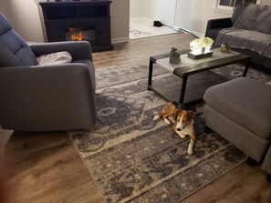 Smart TV, computer monitors, printers