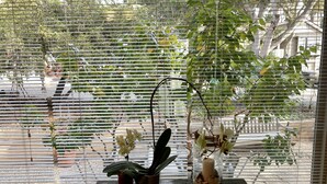 Ein Zimmer mit einem Fenster, das mit Jalousien verdeckt ist, einem Holztisch mit Pflanze, Vase und gewebter Matte.