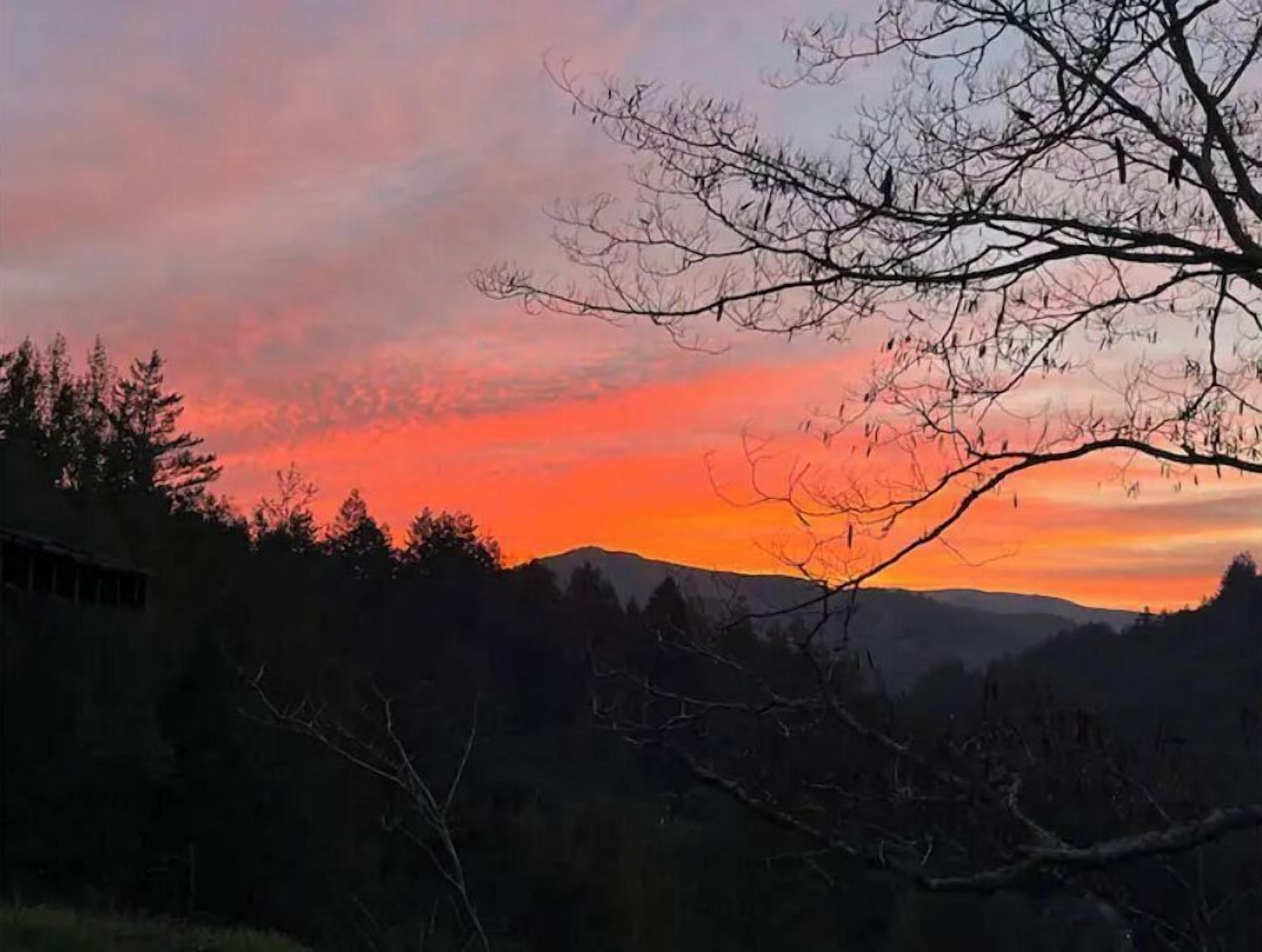 A sunset over a mountainous landscape with silhouetted trees and a clear sky.